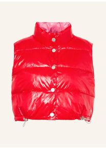 Frieda & Freddies New York Frieda & Freddies