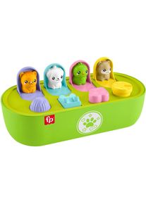 Fisher-Price, Motorikbrett, bunt, Einheitsgr&ouml;&szlig;e, Motorikbrett