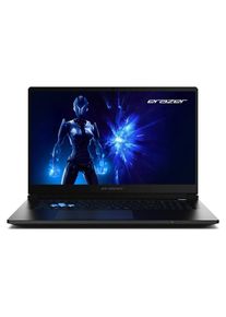 Ackerman Notebook &raquo;Erazer Defender 17 P1 (MD62754)&laquo; 43,942 cm / 17,3 &prime;&prime; Intel Core Ultra 9 GeForce RTX, schwarz, NVIDIA GeForce RTX 5070 Laptop GPU mit 8 GB 