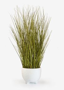 Plante artificielle en pot en vert55 cm, bonprix