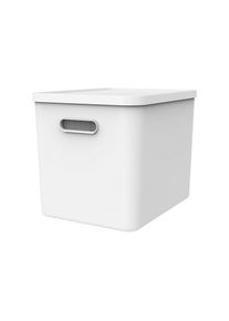 Rotho, Rotho Aufbewahrungsbox &raquo;MY PAPER Basic&laquo;, wei&szlig;, Kunststoff, B/H/T: 29 cm x 29,5 cm x 37 cm