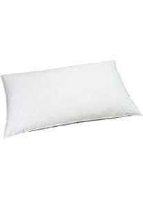 Billerbeck, Billerbeck Kopfkissen &raquo;Recycled Goose Soft&laquo; 1 Stk. tlg., wei&szlig;, Obermaterial: 100% Baumwolle
