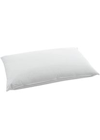 Billerbeck, Billerbeck Kopfkissen &raquo;Piuma Pillow Classic&laquo; 1 Stk. tlg., wei&szlig;, Obermaterial: 100% Baumwolle. F&uuml;llung: 80% Federn, 20% Daunen