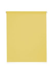 SUNLINES, SUNLINES Seitenzugrollo &raquo;Uni&laquo; Lichtschutz mit Bohren 1 St&uuml;ck, limonengr&uuml;n, Polyester