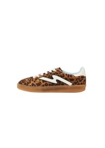 Madden Girl, Femmes Baskets basses 'Giia', marron / chocolat / blanc cass&eacute;
