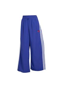 adidas Sportswear, Femmes Pantalon de sport, bleu / blanc