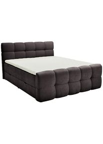 Moderano Boxbett , Anthrazit , Textil , Tanne , Hartholz , H3 , 5-Zonen , 160x200 cm , gepolstertes Kopfteil, Topper durchgehend, H&auml;rtegradauswahl, Matratze geteilt , Schlafzimmer, Betten, Doppelbetten