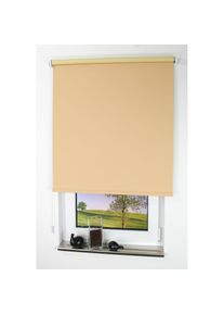 Liedeco, Seitenzugrollo &raquo;Uni&laquo; verdunkelnd energiesparend mit Bohren, apricot, Polyester