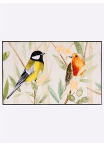 wash+dry by Kleen-Tex Witt Fussmatte, bunt, Gr&ouml;&szlig;e 40x60 cm - rechteckig, 100% Polyamid. R&uuml;ckseite: 100% Gummi