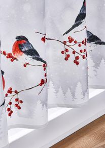 Scheibengardine mit Winterv&ouml;geln in rot, 45x90 cm, bonprix