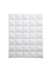 Billerbeck Kassettenduvet , Weiss , Textil , F&uuml;llung: Daunen , 160x210 cm , Made in Switzerland , temperaturausgleichend, feuchtigkeitsregulierend, weich und anschmiegsam, atmungsaktiv , Heimtextilien, Kopfkissen & Duvets, Duvets, Daunendecken