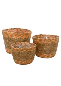 Kaemingk Pflanzkorb gro&szlig; SEEGRAS