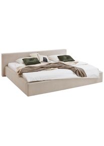 Boxxx Polsterbett , Beige , Holz , Birke, Buche , vollmassiv , 240x200 cm , Reach , Stoffauswahl, In verschiedenen Gr&ouml;ssen erh&auml;ltlich, Familienbett,individuelle Liegeh&auml;rteeinstellung , Schlafzimmer, Betten, Polsterbetten