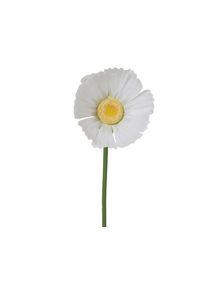 Kaemingk D&eacute;coration p&acirc;querettes XL FLOWER POWER