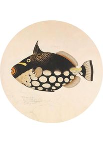 Metallbild Fish Black