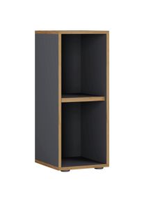 Aktenregal Salia B30 Anthrazit/honigeiche 30/74/33 cm