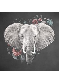 Bild Posterjunkie-019-74x74-Rvs-Mko