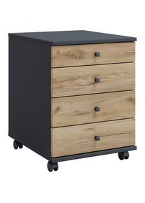 Rollcontainer Lona Mini 42/57/50 cm
