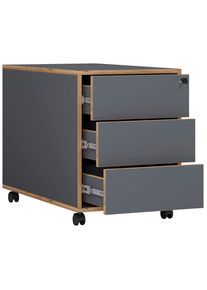 Rollcontainer Salia T45 42/50/45 cm