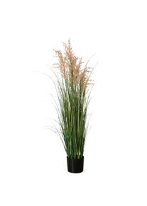 Boltze Plante en pot zoost&egrave;re MARITIM