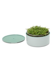 Tchibo - Anzucht-Set &raquo;Microgreens&laquo; - grau
