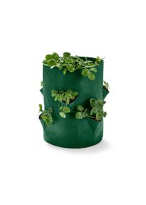 Tchibo - Erdbeeren-Pflanztasche - gr&uuml;n