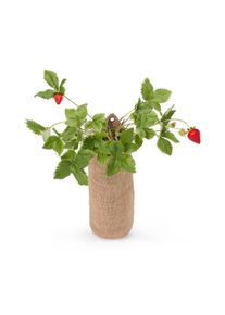 Tchibo - H&auml;ngender Erdbeer-Garten - mehrfarbig