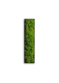 Stylegreen Moosbild , Gr&uuml;n , Naturmaterialien , Kork , 26x6x4 cm , einfache und schnelle Anbringung, pflegefrei &ndash; nicht giessen oder bespr&uuml;hen, keine Beleuchtung notwendig , Bilder & Rahmen, Bilder, Wanddekoration
