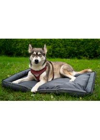 Berger PawCloud Hundebett 105x70 cm - Hundebetten