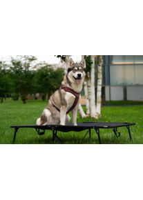 Berger SnoozeNest faltbares Hundebett klein bis 40 kg (L) - Hundebetten