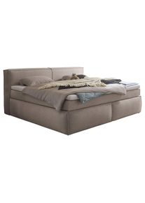 Esposa Familienboxspringbett , Taupe , Kunststoff , H3 + H4 , 7-Zonen , 240x200 cm , gepolstertes Kopfteil, Stoffauswahl, Topper durchgehend, Wendematratze mit unterschiedlichen H&auml;rtegraden, In verschiedenen Gr&ouml;ssen erh&auml;ltlich, Partnermatratze mit durchgehendem Bezug, Familienbett , Schlafzimmer, Bett, Familienbetten