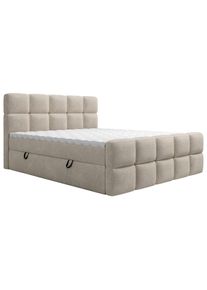 Boxxx Boxbett , Taupe , Kunststoff , Camouflage , H3 , 180x200 cm , gepolstertes Kopfteil, Stoffauswahl, Topper durchgehend, In verschiedenen Gr&ouml;ssen erh&auml;ltlich, Box mit integrierter Matratze , Schlafzimmer, Betten, Doppelbetten