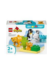 Lego, Lego Spielbausteine &raquo;DUPLO Wildtier-Familien Pinguine und L&ouml;wen 10442&laquo;, bunt