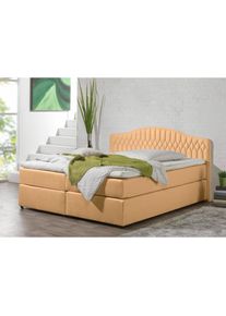 Maintal, Boxspringbett in diversen Ausf&uuml;hrungen, karamell, Seitliche Einfassung Unterbox und Obermatratze: Mikrovelours (100% Polyester);Spiegelfl&auml;che