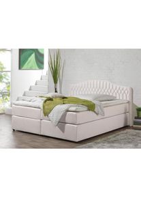 Maintal, Boxspringbett in diversen Ausf&uuml;hrungen, silbergrau, Seitliche Einfassung Unterbox und Obermatratze: Mikrovelours (100% Polyester);