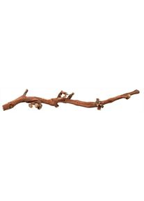 Trixie Jouets d'occupation pour animaux &raquo;L wassergestrahlt, 40 - 60 cm&laquo; bois