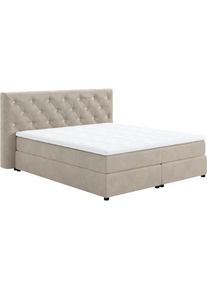 COTTA, COTTA Boxspringbett &raquo;Castle&laquo; mit Strasssteinen im Kopfteil, inkl. Topper, pearl, 100% Polyester (PES), Velour VELVET