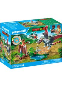 Playmobil Jeu de construction &raquo;Beobachtungsstation f&uuml;r Dimorphodon (71525), Dinos&laquo; fabriqu&eacute; en Europe