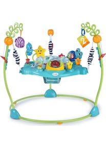 Baby Einstein, Spielcenter &raquo;Curiosity Cove&laquo; mit &uuml;ber 15 Melodien und Lichtern, bunt, Einheitsgr&ouml;&szlig;e, Spielcenter