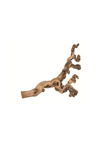 Trixie, Trixie Tier-Besch&auml;ftigungsspielzeug &raquo;XL wassergestrahlt, 55 - 80 cm&laquo; Holz, braun, Holz