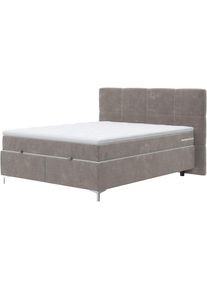 COTTA, COTTA Boxbett &raquo;Kimy inkl. Bettkasten&laquo; erh&auml;ltlich in den Breiten 160x200cm & 180x200cm, elephant, 94% POLYESTER (PES);6%POLYAMID (PA), 