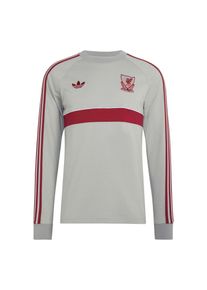 adidas Performance Funktionsshirt 'Liverpool FC' Herren Gr&ouml;&szlig;e M hellgrau / rot