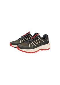 Jack Wolfskin, Unisex, Wanderschuh &raquo;WILD HIKE TEXAPORE LOW M&laquo; Outdoorschuh, Trekkingschuh, wasserdicht, obsidian moss, 47, Hochwertiger Wanderschuh 