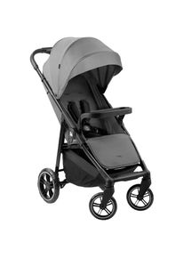hauck, Kinder-Buggy &raquo;Shop N Care, Grey&laquo; 22 kg bis 22 kg belastbar; kompatibel mit Babyschale, grau, Einheitsgr&ouml;&szlig;e, Kinder-Buggy