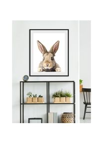 queence, queence Bild &raquo;Joona&laquo; Foto Haustiere Kunst 1 Stk. tlg. HD Premium Poster-Druck inkl. Holzrahmen, farbe rahmen: schwarz, farbe bild(er): braun,