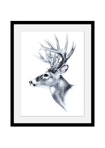 queence, queence Bild &raquo;Hirsch&laquo; Hirsch Hirschbilder Schwarz-Weiss Tiere Wildtiere HD Premium Poster-Druck inkl. Holzrahmen, farbe rahmen: schwarz, 