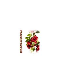 Ackerman Guirlande artistique &raquo;Dekomat AG mit 60 Rosen 170 cm&laquo; guirlande de fleurs artificielle avec 60 roses rouges