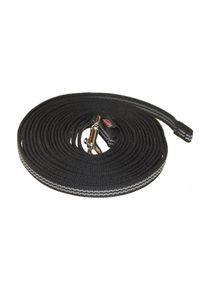 Ackerman Hundeleine &raquo;ABS Gurt, 16 mm / 10 m, Schwarz&laquo;, schwarz, Kunststoff, L/B: 10 m x 1,6 cm