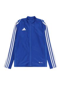 adidas Performance Sportjacke 'Tiro 23 League' Jungen Gr&ouml;&szlig;e 140 royalblau / wei&szlig;