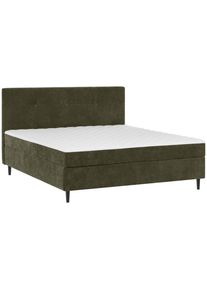 Carryhome Boxbett , Khaki , Holz , Tanne,Birke , massiv , Struktur , H3 , 7-Zonen , 180x200 cm , gepolstertes Kopfteil , Schlafzimmer, Bett, Doppelbetten